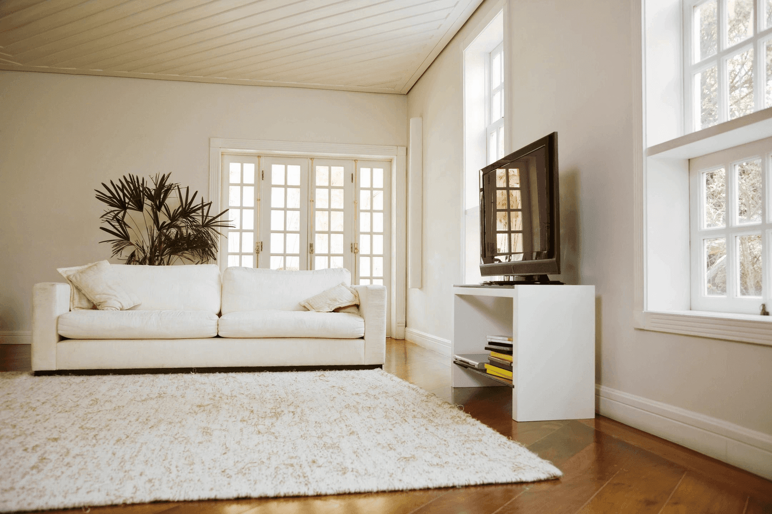 Carpet cleaning in Brentwood, TN