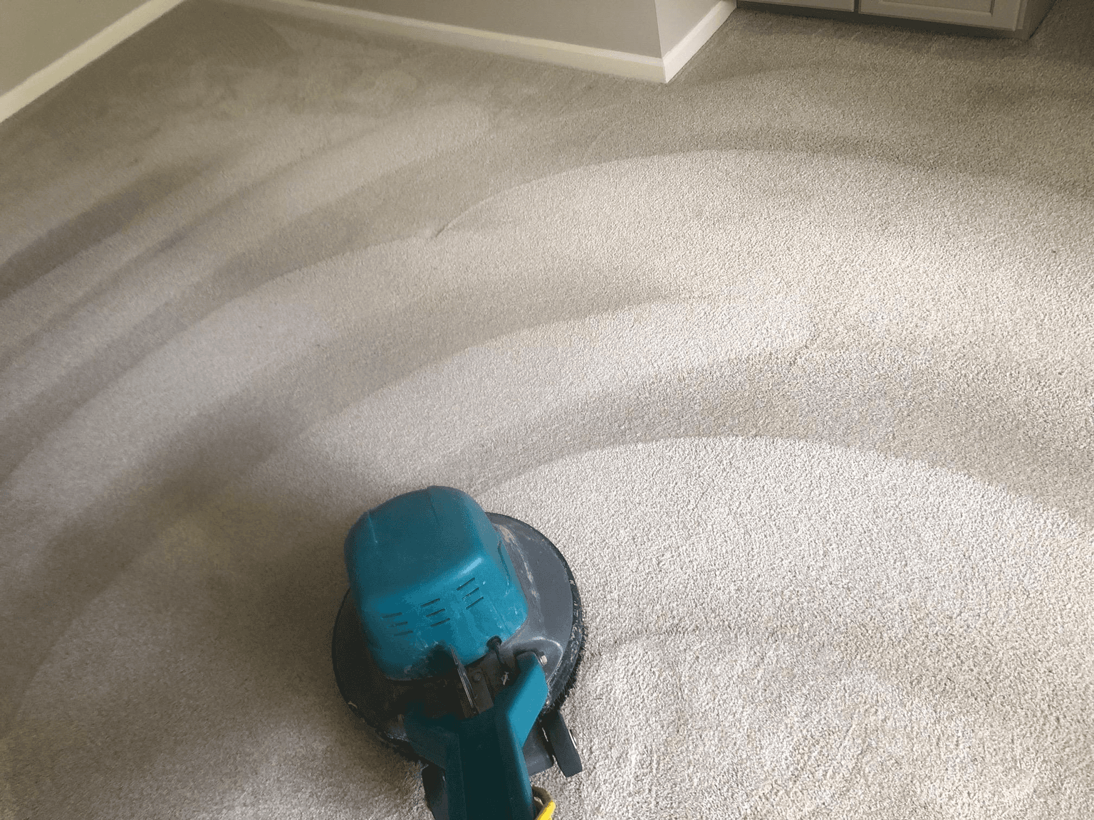 Carpet cleaning in Chapel Hill, TN