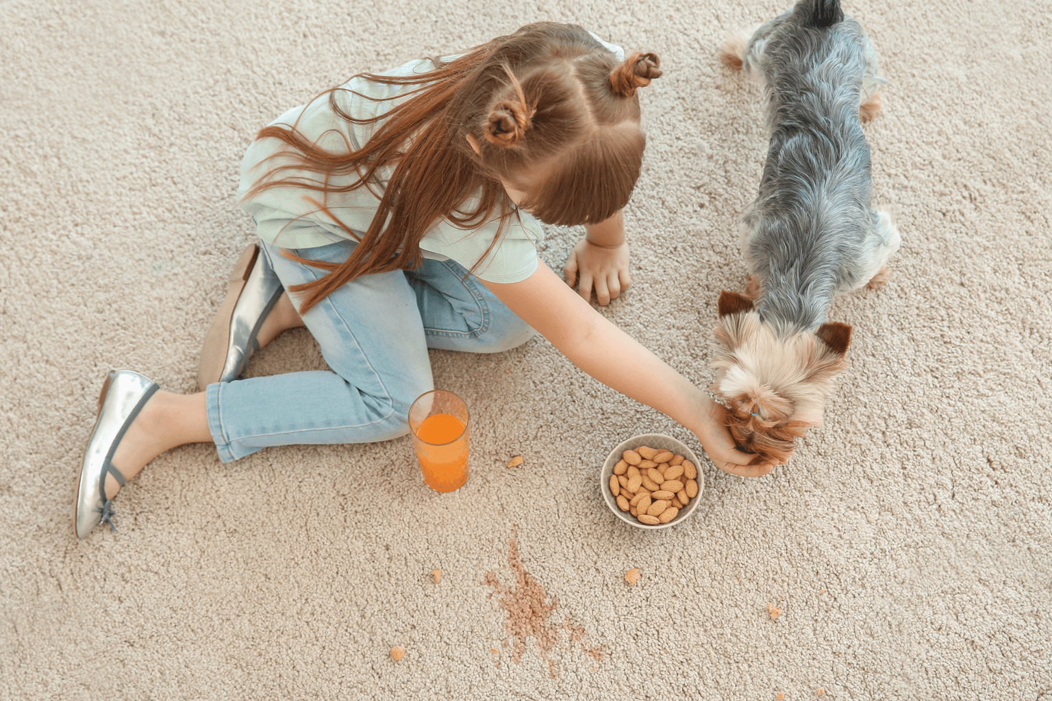 Carpet cleaning in College Grove, TN