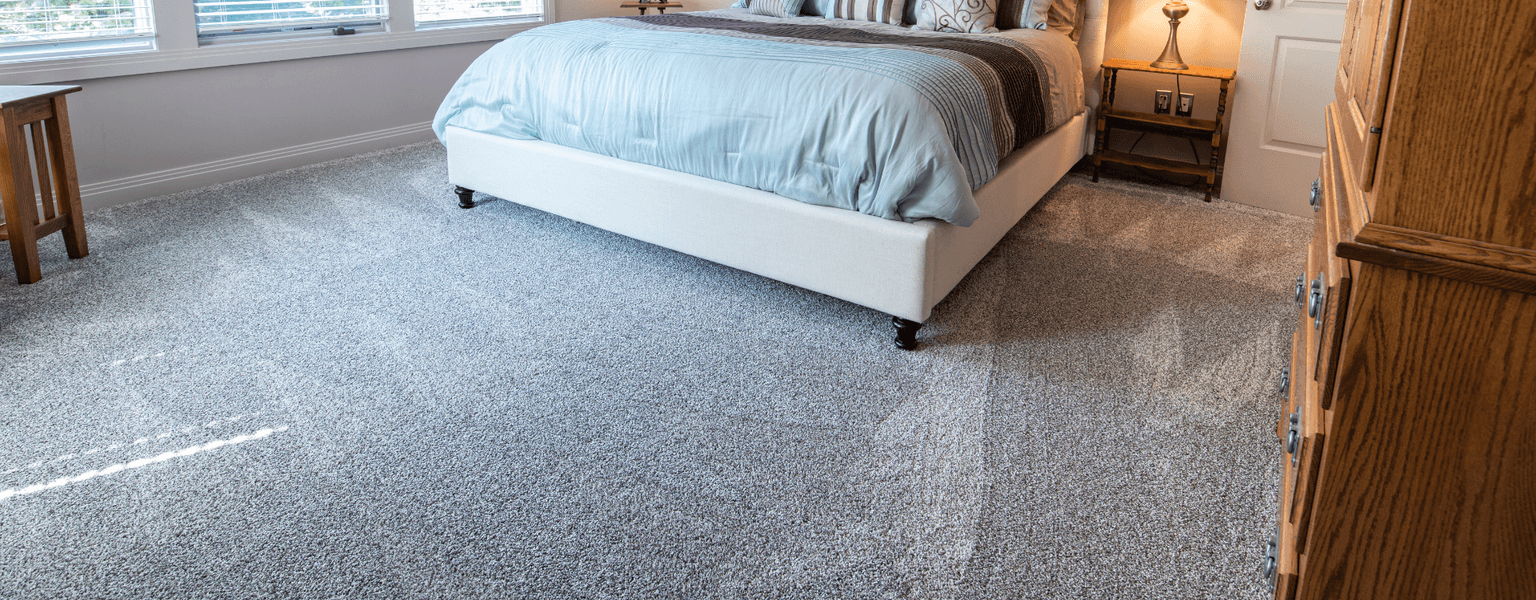 Carpet cleaning in Thompson's Station, TN