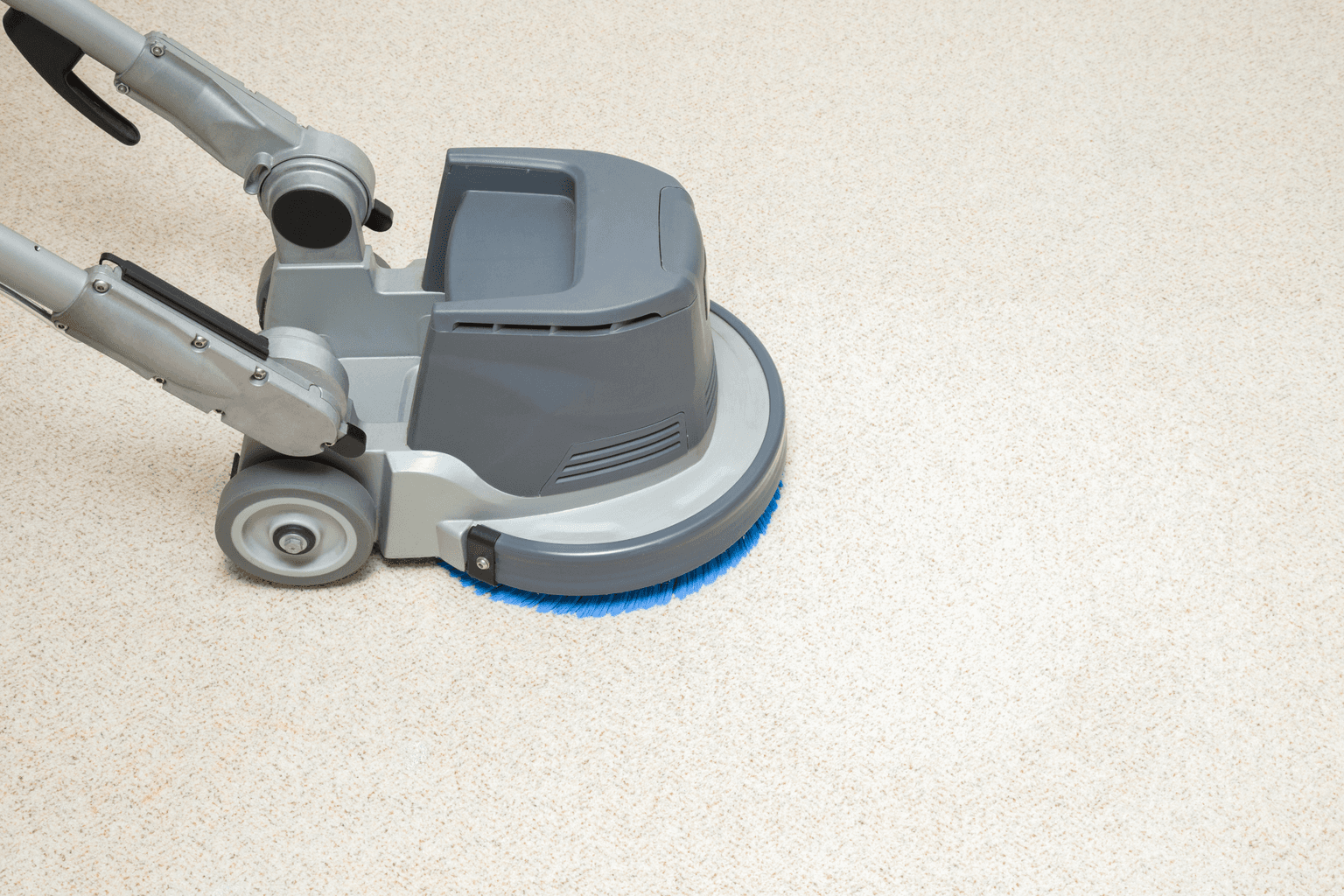 Carpet Cleaning in Franklin TN