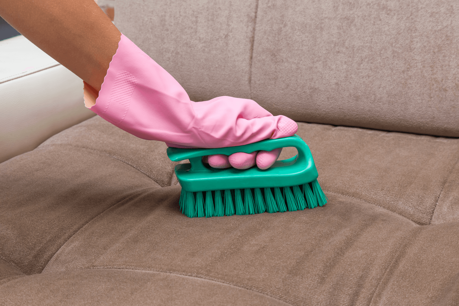 Upholstery Cleaning in Franklin TN