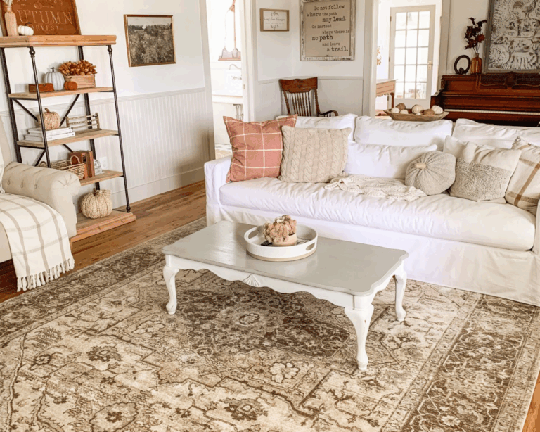 Best rug cleaning service