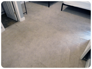 Before and after carpet cleaning
