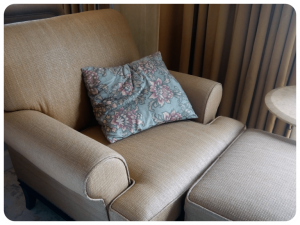 Upholstery Cleaning