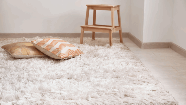 Area Rug Cleaning