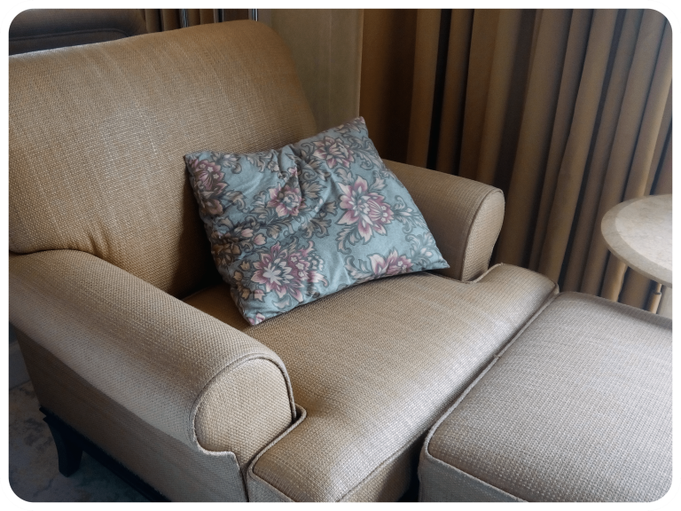 Upholstery Cleaning
